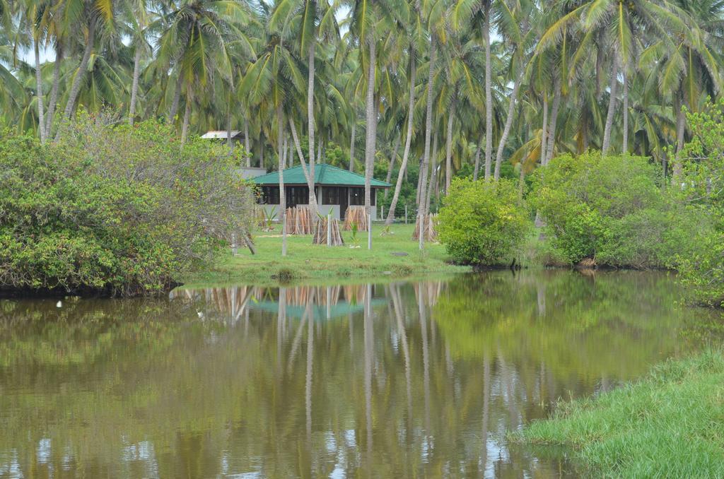 Aqua Front Yala Resort Kirinda  Exterior foto