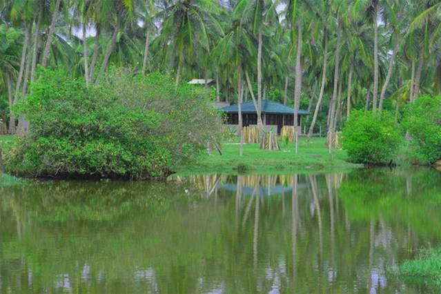 Aqua Front Yala Resort Kirinda  Exterior foto